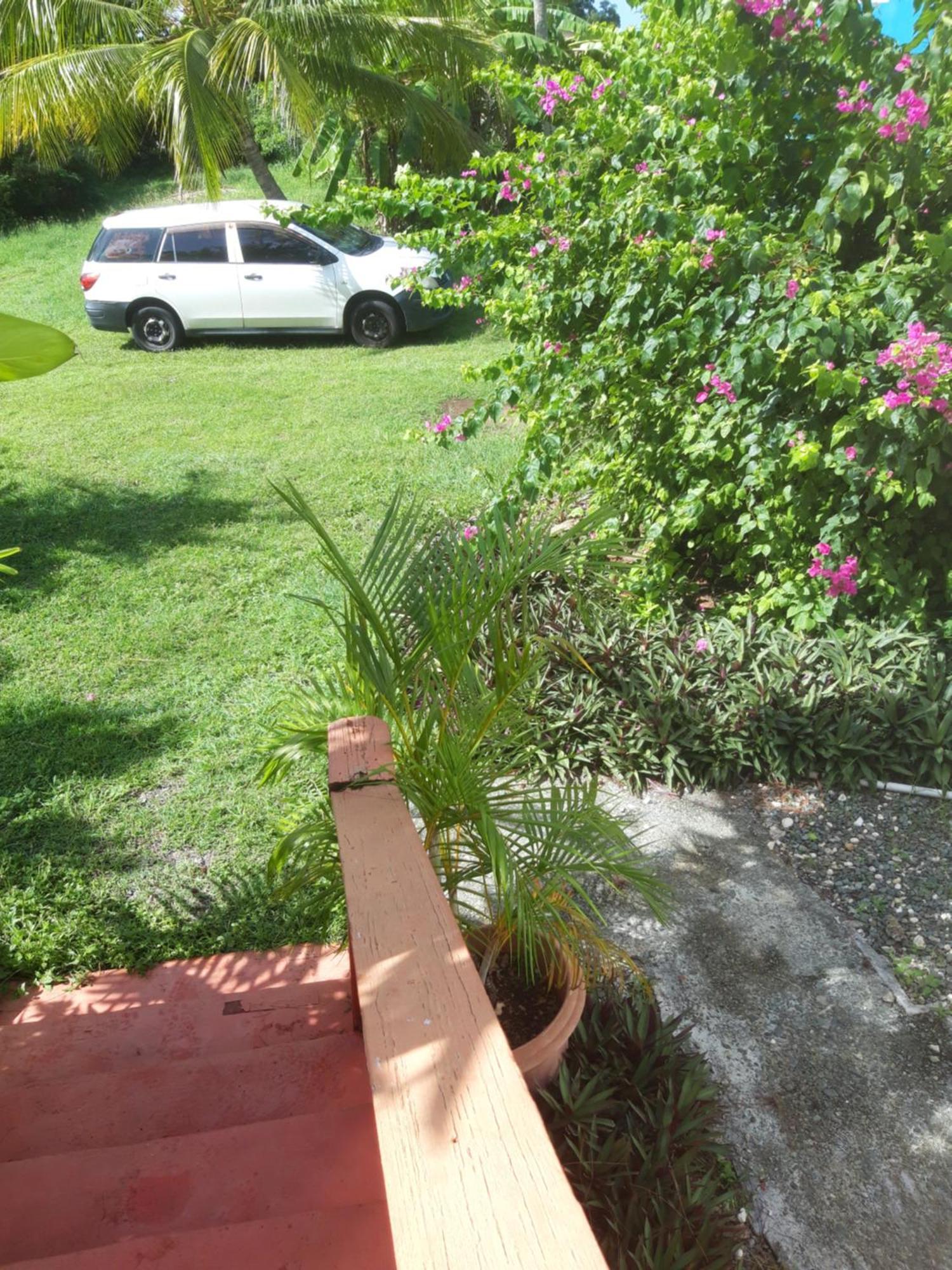 Tranquil Guest House Buccoo Exterior photo